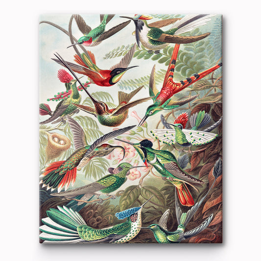 Brid Painting By Number 1