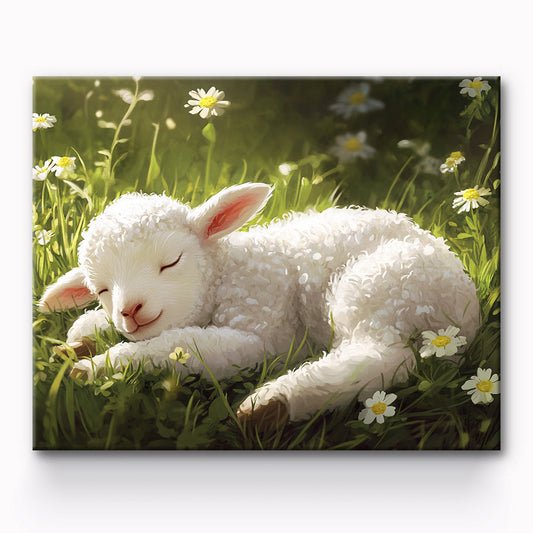 Sleeping Sheep Painting By Number 1
