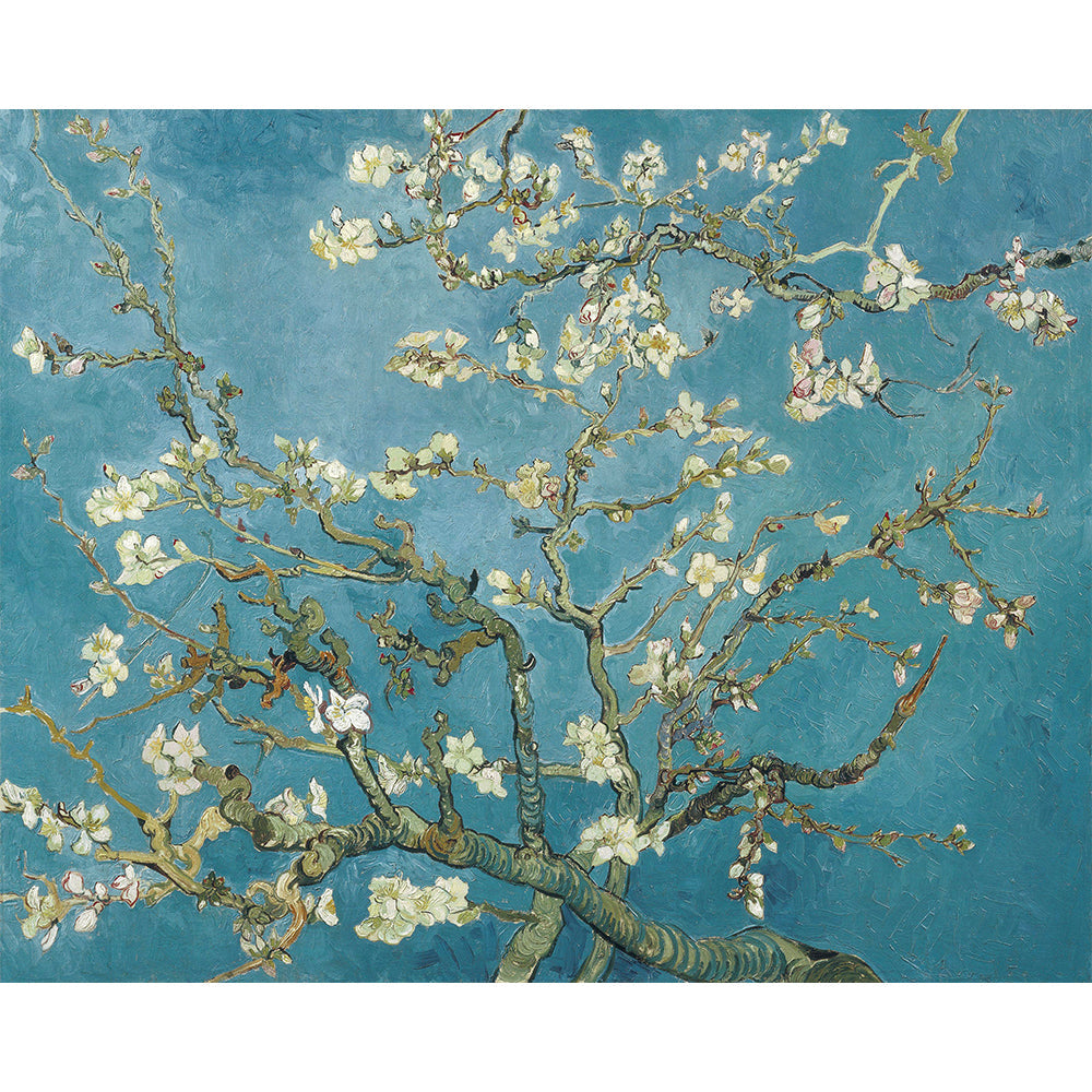 Mandelbl¨¹te Van Goghist Painting By Number 2