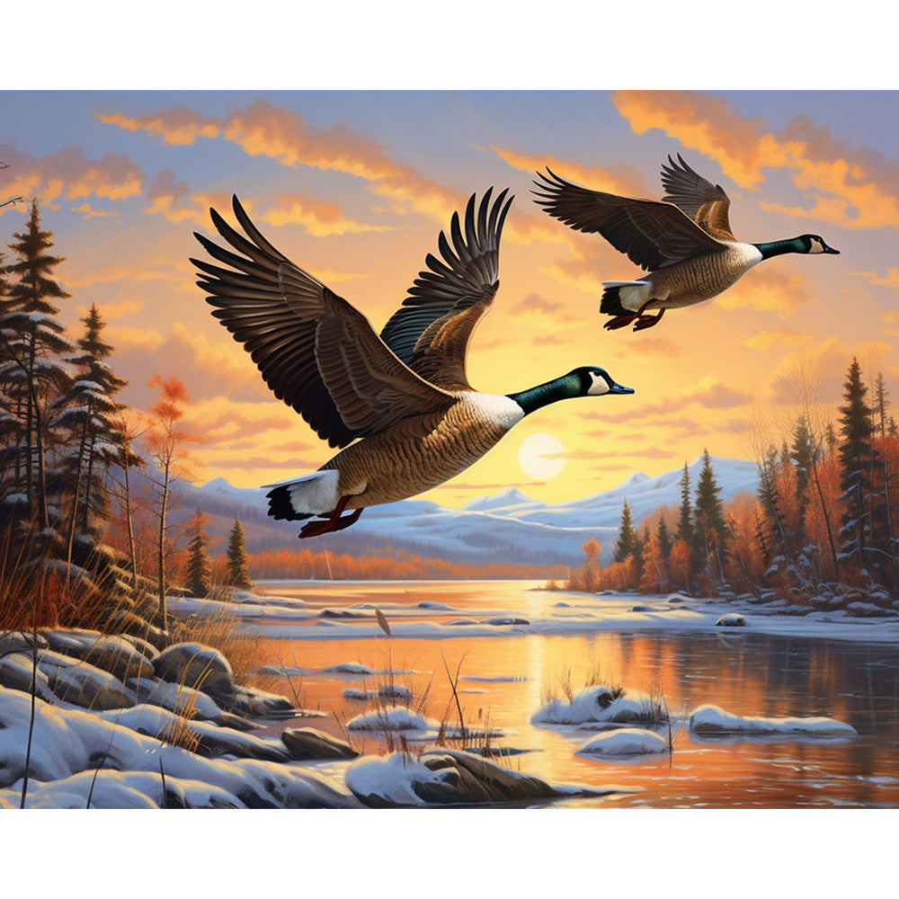 Wild Goose Painting By Number 2