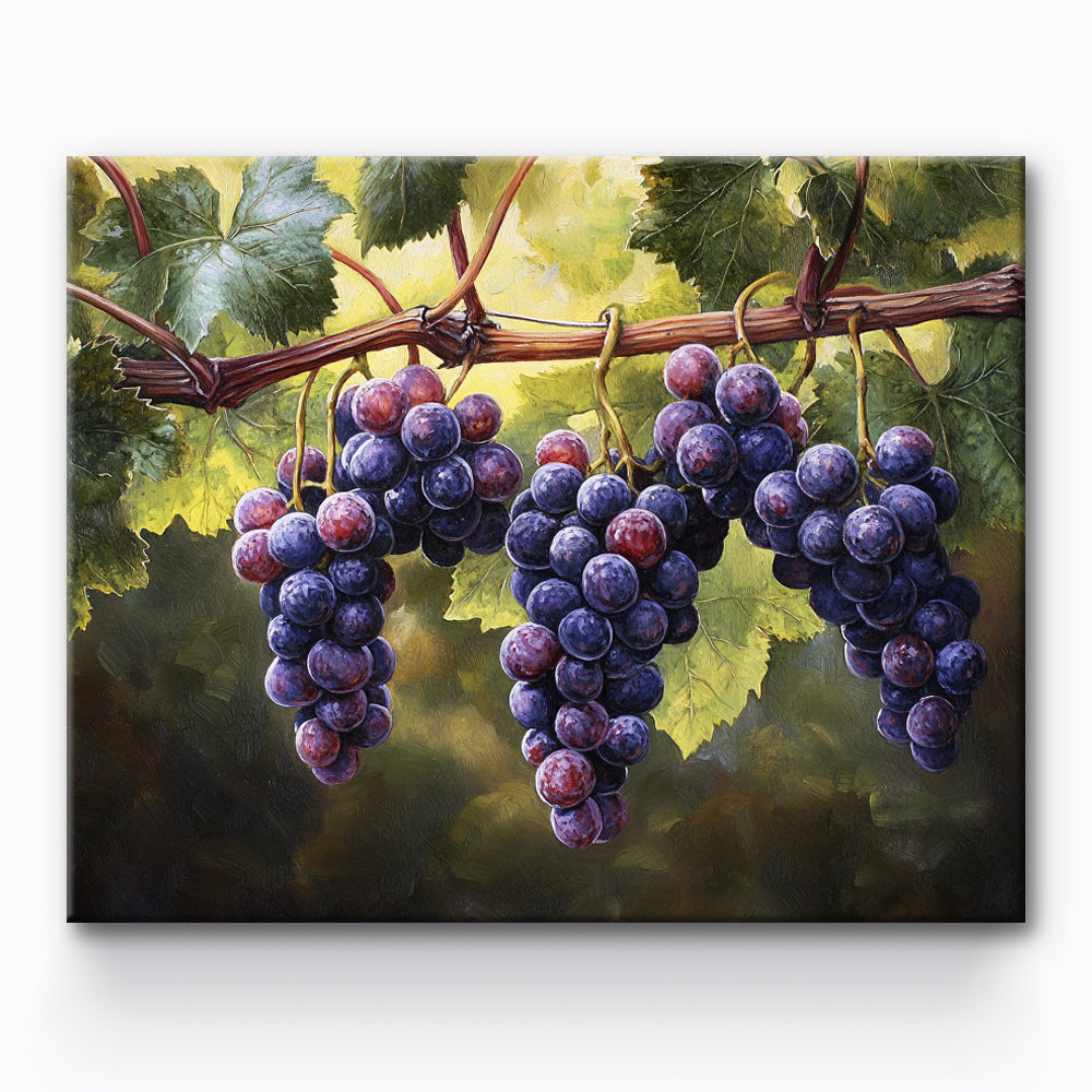 Ripe Grapes Painting By Number 1
