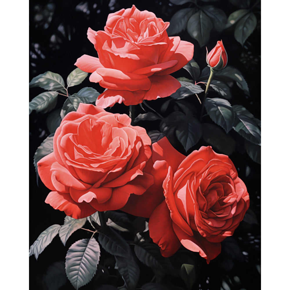 Rose Flower Painting By Number 2