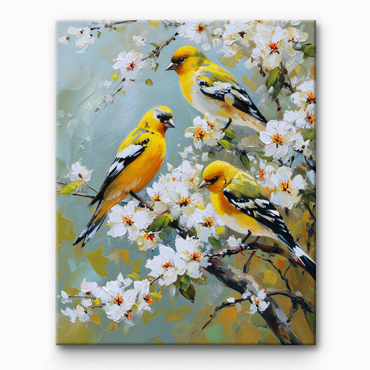 Bird Painting By Number 1