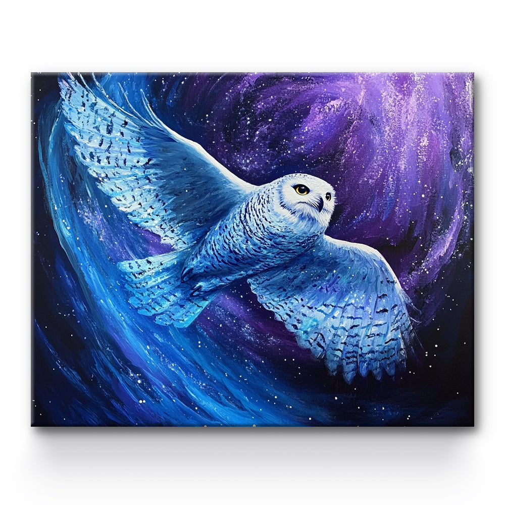 Owl Painting By Number 1