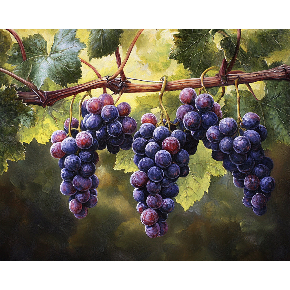 Ripe Grapes Painting By Number 2
