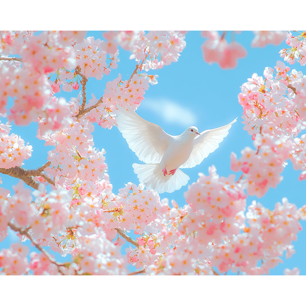 Peace Dove Pink Flower Painting By Number 2