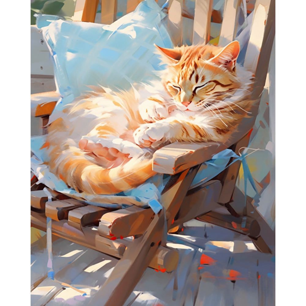 Cat Taking Afternoon Nap Painting By Number 2