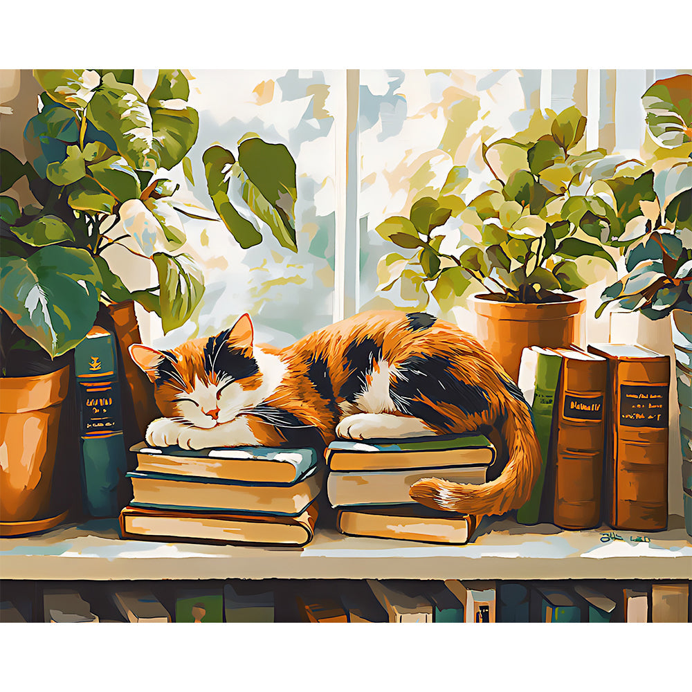Napping Cat Painting By Number 2