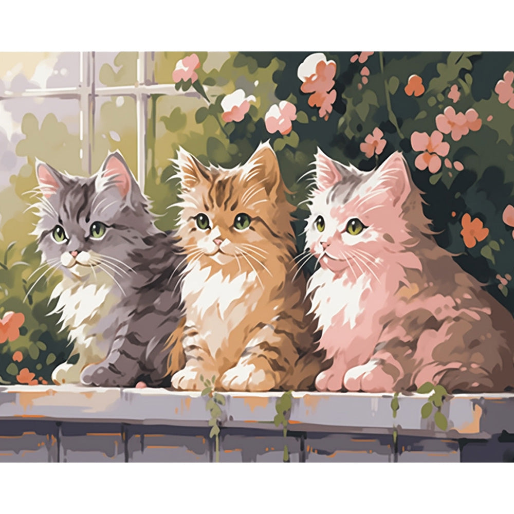 Cat Painting By Number 2