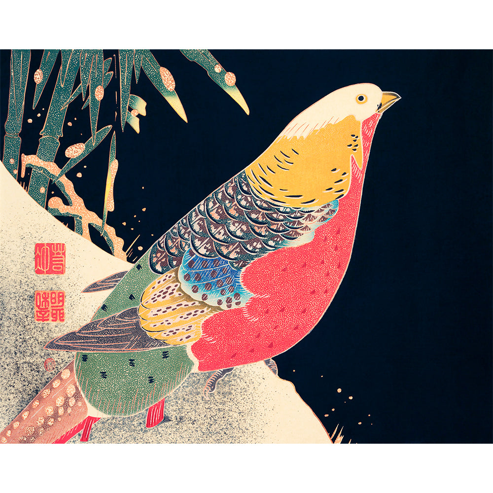 Bird Painting By Number 2
