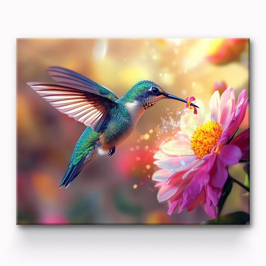 Hummingbird Painting By Number 1
