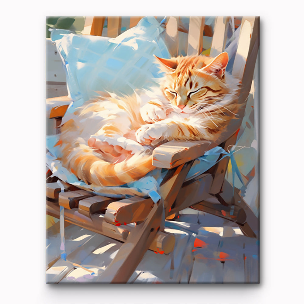 Cat Taking Afternoon Nap Painting By Number 1