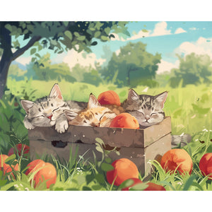 Sleeping Cat Painting By Number 2
