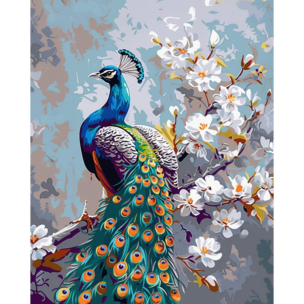 Peacock Painting By Number 2