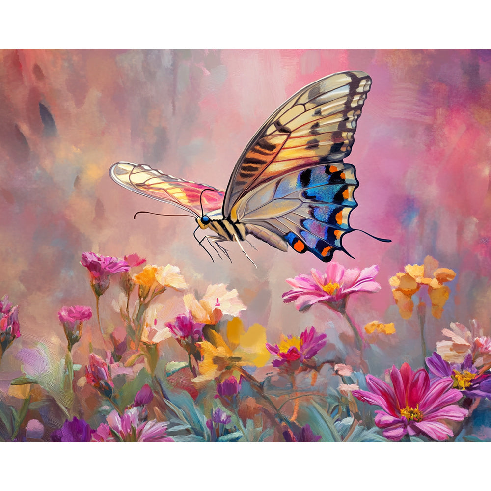 Butterfly Painting By Number 2