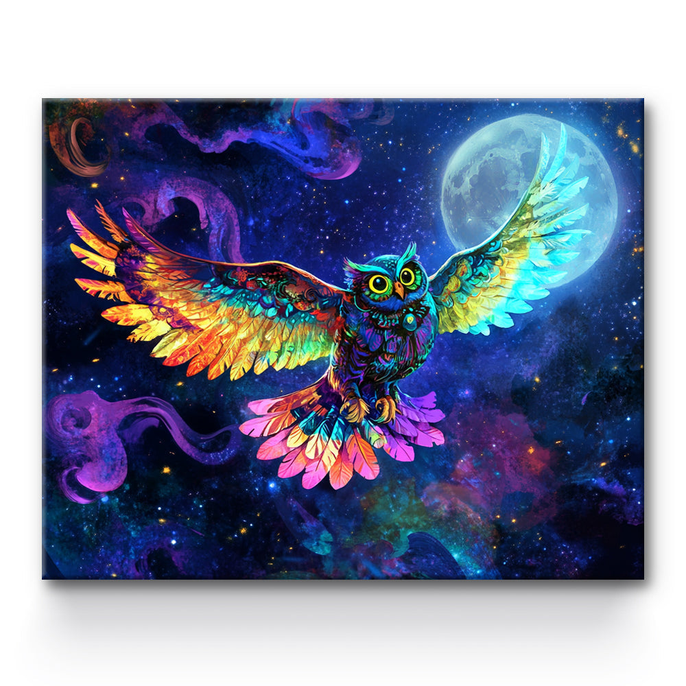 Colorful Owl Under The Moon Painting By Number 1